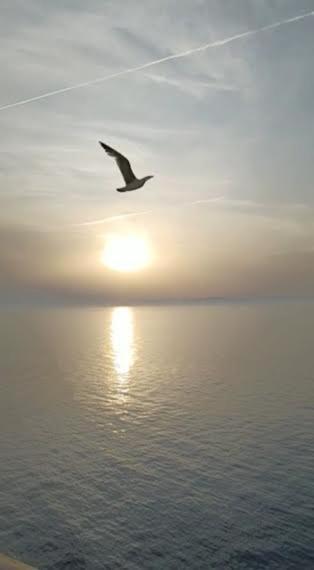 Armareaoverseassuites 1 Fiumicino Luaran gambar